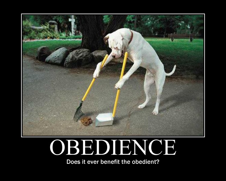 obedience.jpg