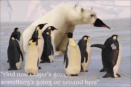 penguins.jpg. Source. I think this is too funny.